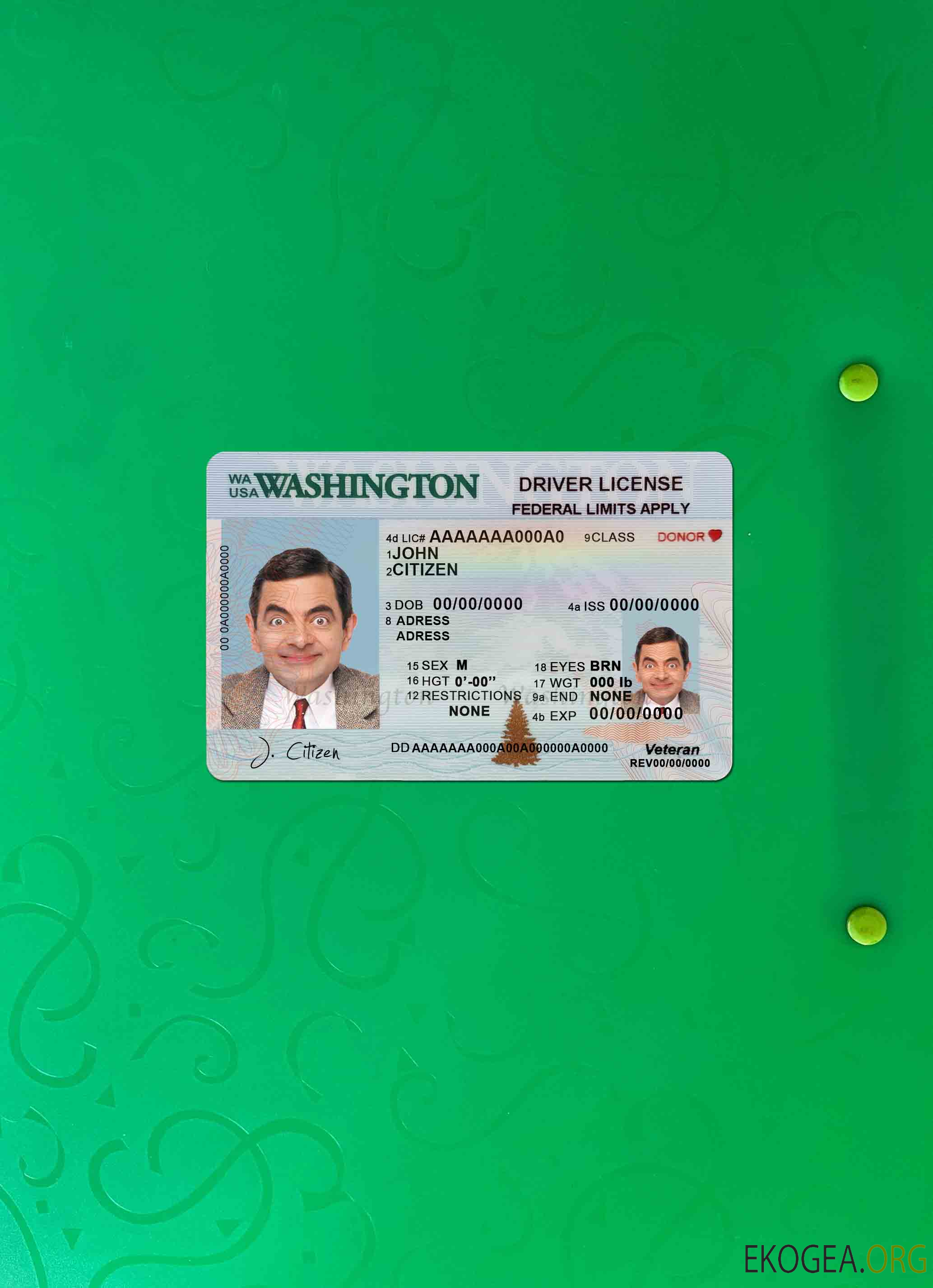 Modèle de permis de conduire USA Washington au format PSD (2018 – présent) photolook FRONT